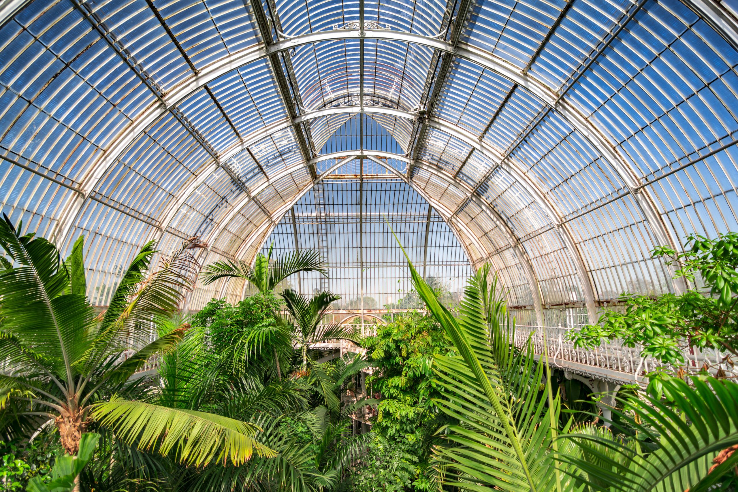 Interior of one of the greenhouses present at Kew Gardens,